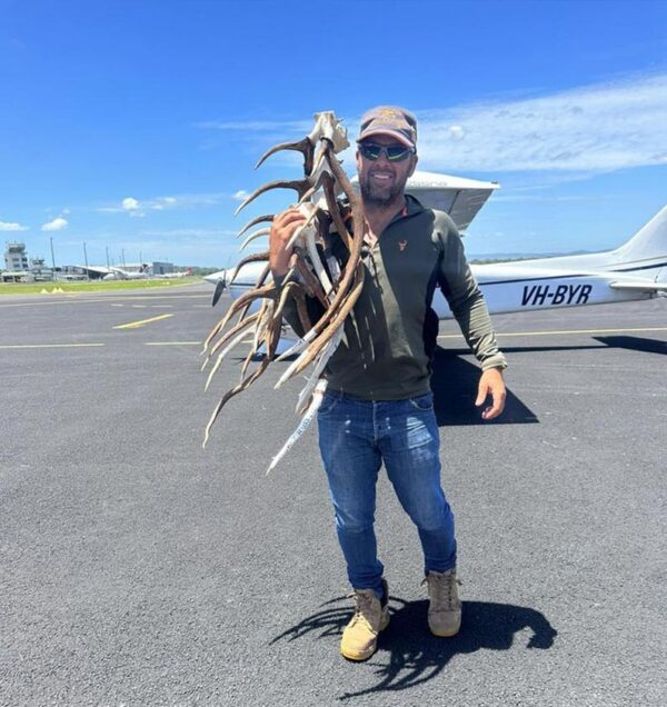 marble island Antler